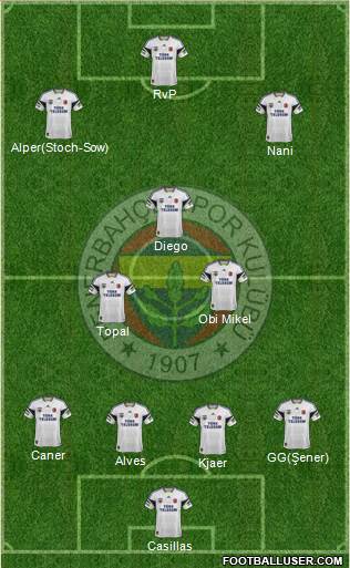 Fenerbahçe SK Formation 2015