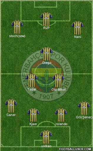 Fenerbahçe SK Formation 2015