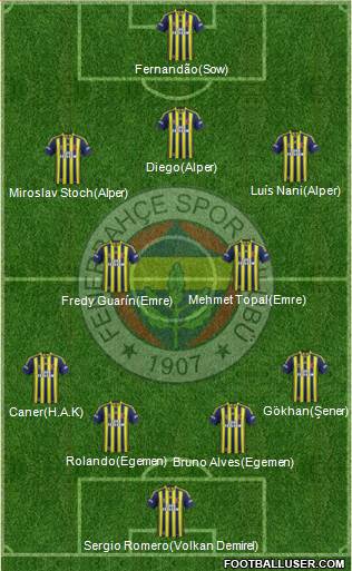 Fenerbahçe SK Formation 2015