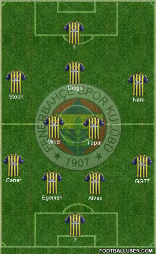 Fenerbahçe SK Formation 2015