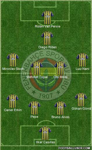 Fenerbahçe SK Formation 2015