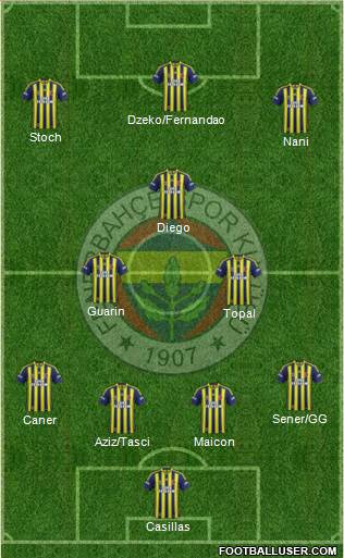 Fenerbahçe SK Formation 2015