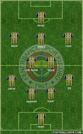 Fenerbahçe SK Formation 2015