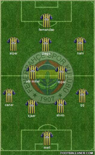 Fenerbahçe SK Formation 2015