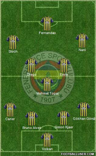 Fenerbahçe SK Formation 2015