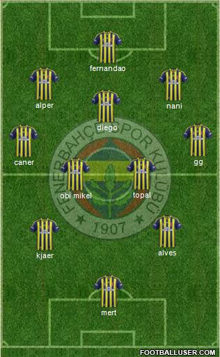 Fenerbahçe SK Formation 2015
