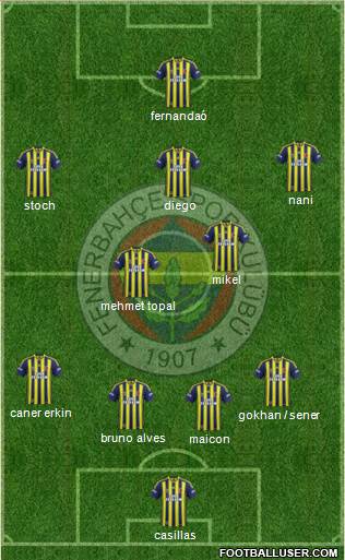 Fenerbahçe SK Formation 2015