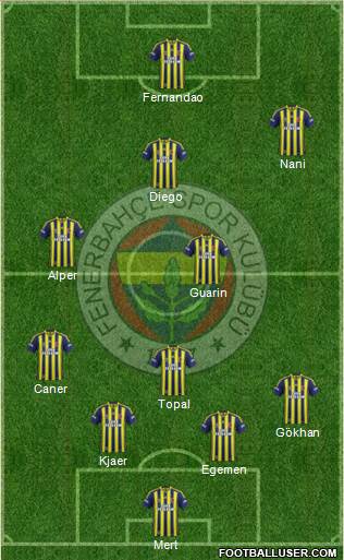Fenerbahçe SK Formation 2015