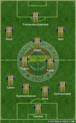 Fenerbahçe SK Formation 2015