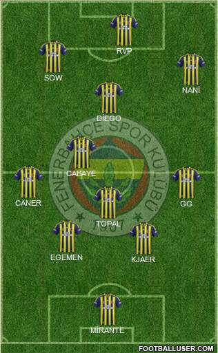 Fenerbahçe SK Formation 2015