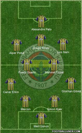 Fenerbahçe SK Formation 2015