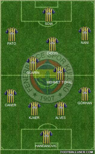 Fenerbahçe SK Formation 2015