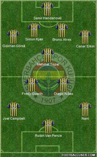 Fenerbahçe SK Formation 2015