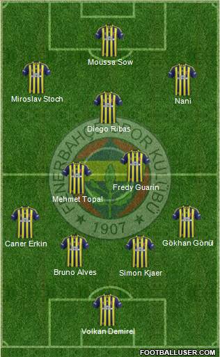 Fenerbahçe SK Formation 2015