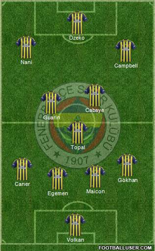 Fenerbahçe SK Formation 2015