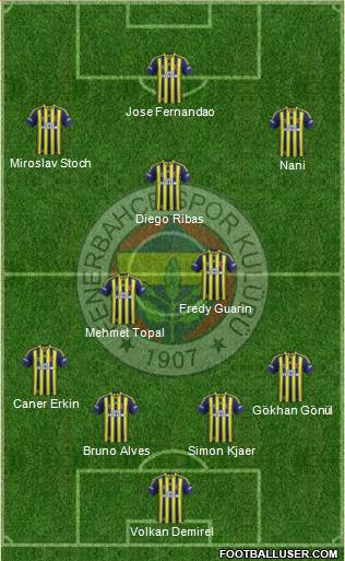 Fenerbahçe SK Formation 2015