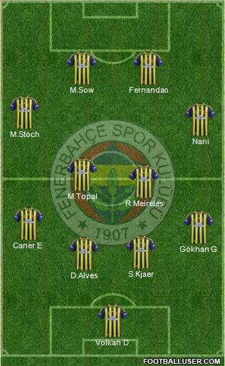 Fenerbahçe SK Formation 2015