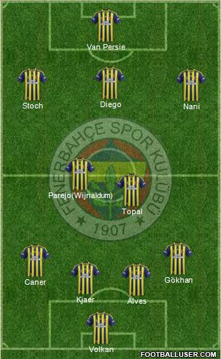 Fenerbahçe SK Formation 2015