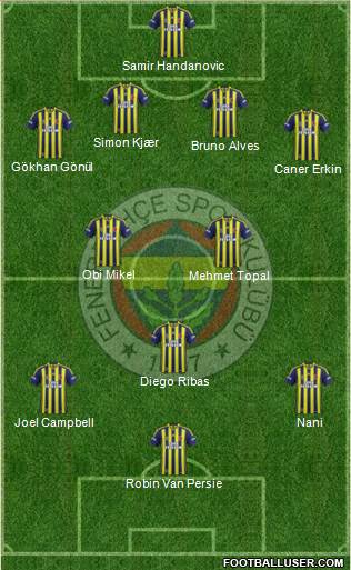 Fenerbahçe SK Formation 2015