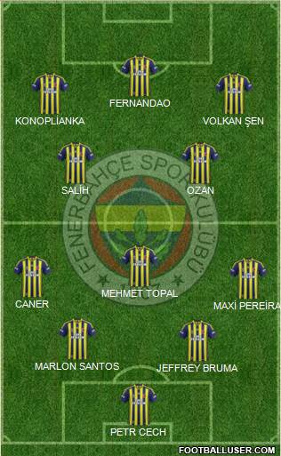 Fenerbahçe SK Formation 2015
