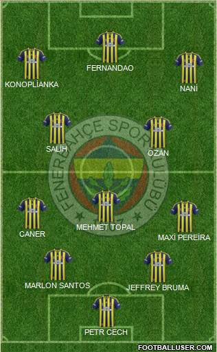 Fenerbahçe SK Formation 2015