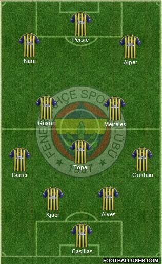 Fenerbahçe SK Formation 2015