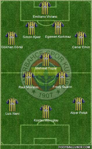 Fenerbahçe SK Formation 2015