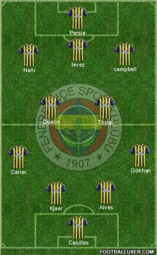 Fenerbahçe SK Formation 2015