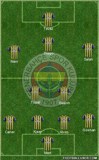 Fenerbahçe SK Formation 2015