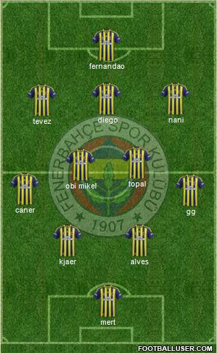 Fenerbahçe SK Formation 2015
