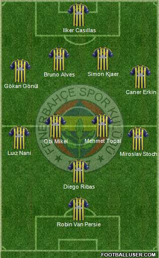 Fenerbahçe SK Formation 2015