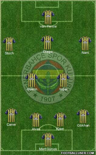 Fenerbahçe SK Formation 2015
