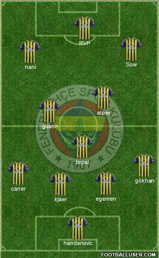 Fenerbahçe SK Formation 2015
