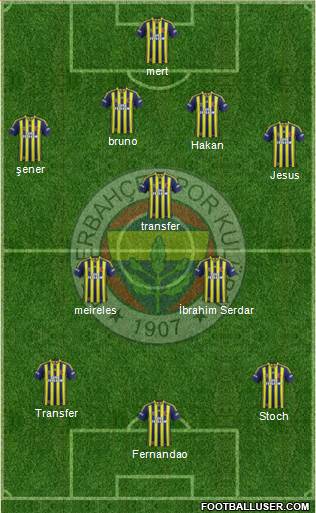 Fenerbahçe SK Formation 2015