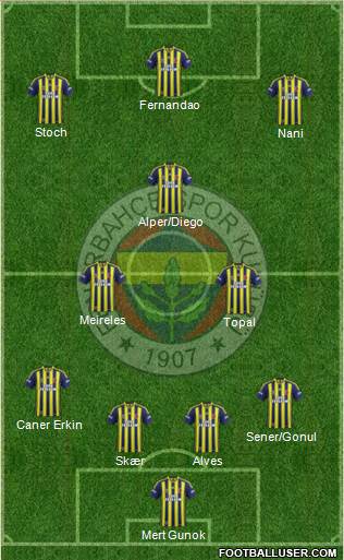 Fenerbahçe SK Formation 2015