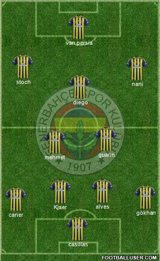 Fenerbahçe SK Formation 2015