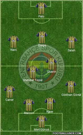Fenerbahçe SK Formation 2015