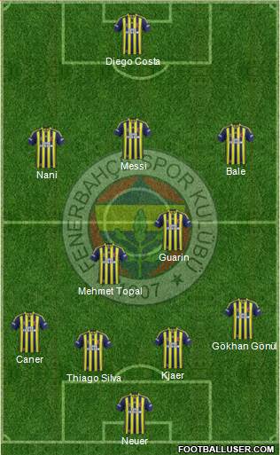 Fenerbahçe SK Formation 2015