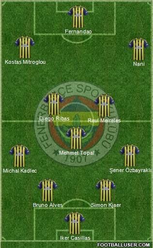 Fenerbahçe SK Formation 2015