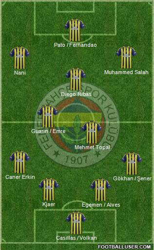 Fenerbahçe SK Formation 2015
