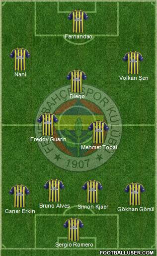 Fenerbahçe SK Formation 2015