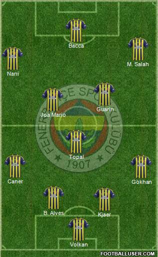 Fenerbahçe SK Formation 2015