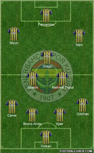Fenerbahçe SK Formation 2015