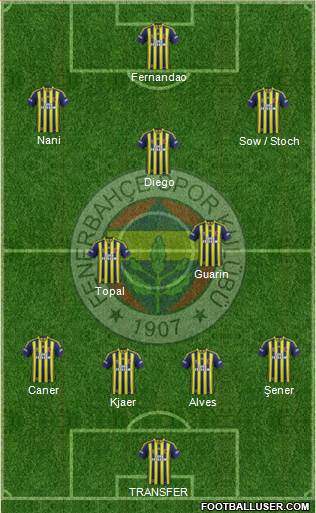 Fenerbahçe SK Formation 2015