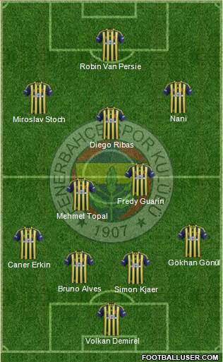 Fenerbahçe SK Formation 2015