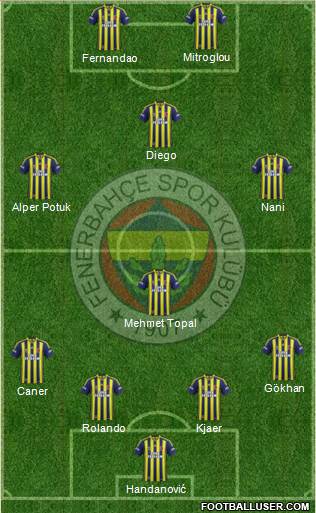 Fenerbahçe SK Formation 2015