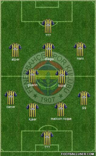 Fenerbahçe SK Formation 2015