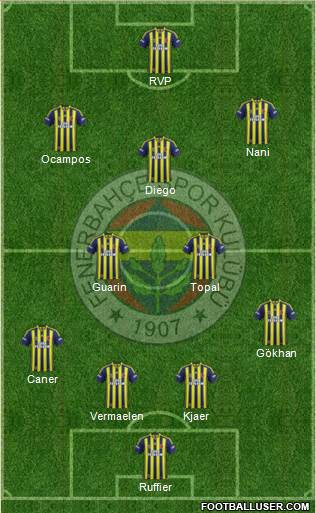 Fenerbahçe SK Formation 2015