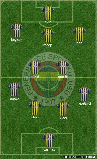 Fenerbahçe SK Formation 2015