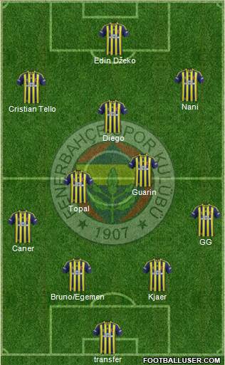 Fenerbahçe SK Formation 2015